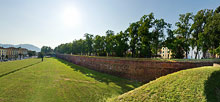 Lucca, City Walls panoramic view